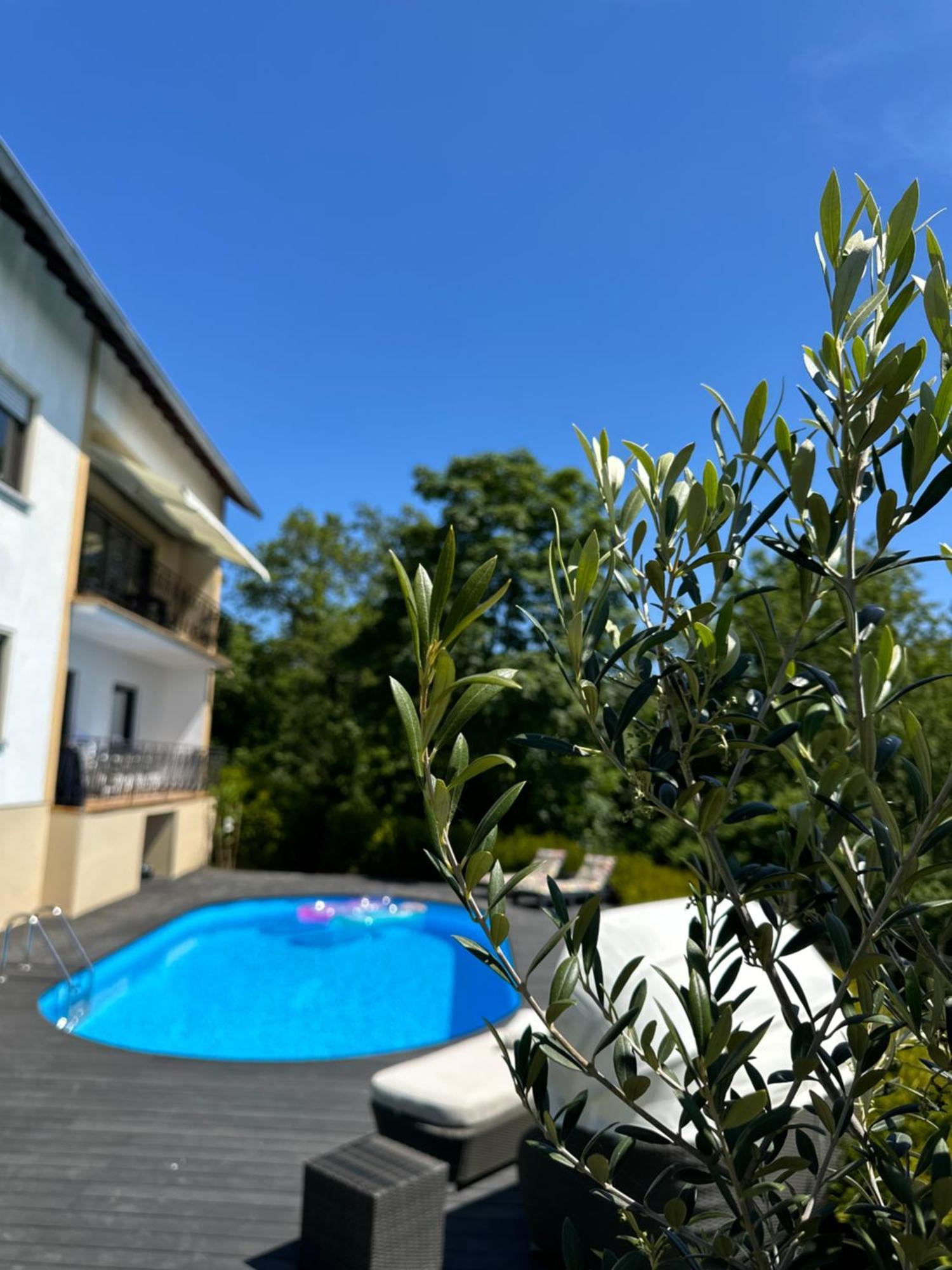 Panorama Apartment